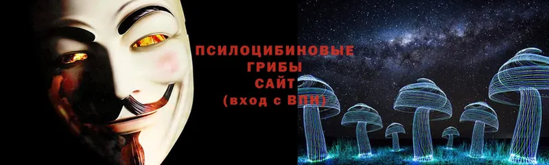 Псилоцибиновые грибы Magic Shrooms  Беслан 